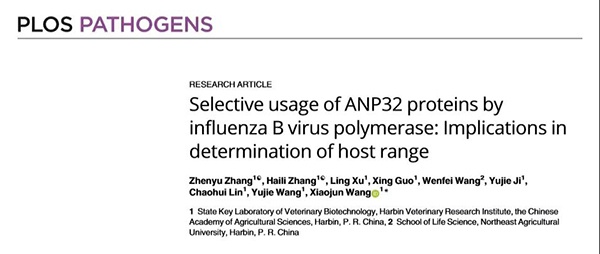 1610687630884717.jpg 攝圖網_500133665_商務人士機場打電話(非企業商用).jpg
