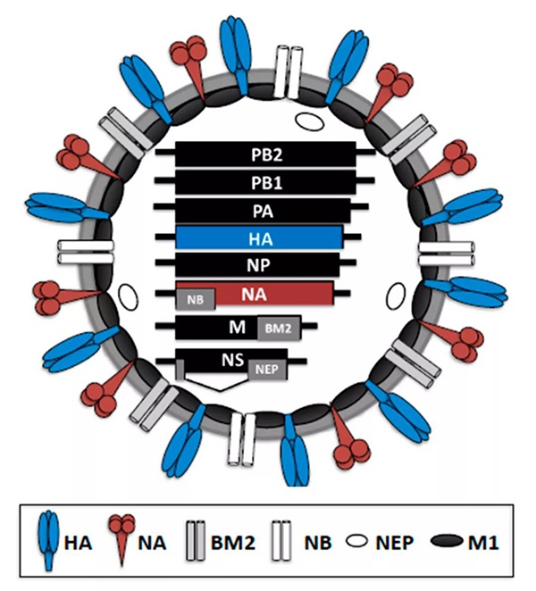 1610687635227556.jpg 微信圖片_20210115131122.jpg