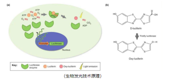 1671176288423093.png image.png