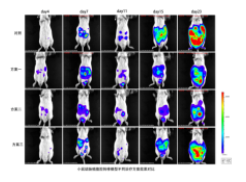 1671176332163726.png image.png