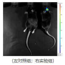 1671176408598468.png image.png