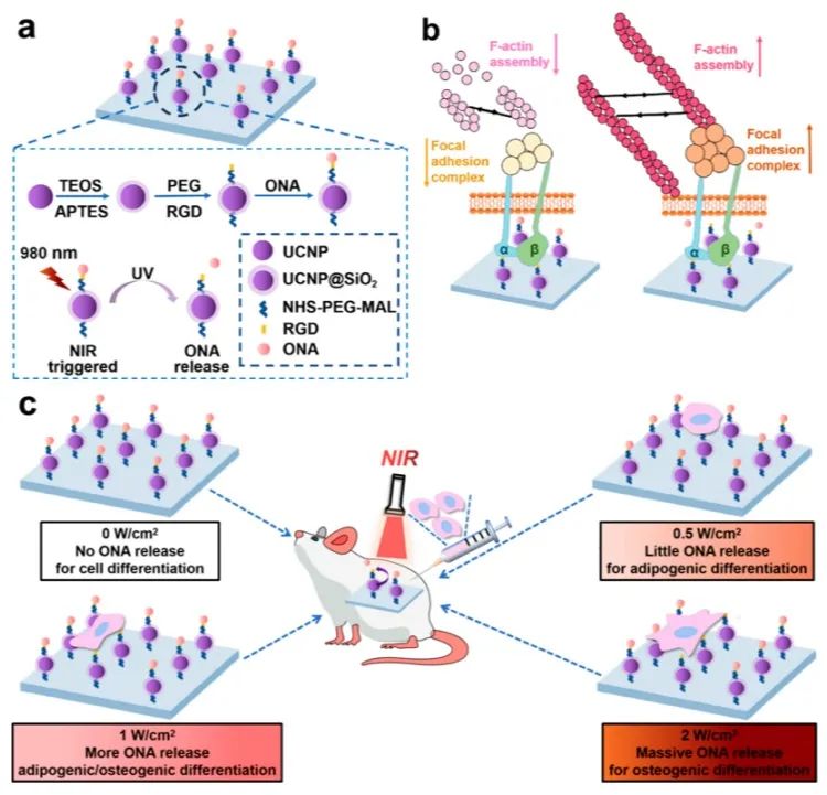 1671418741607396.jpg 2.jpg