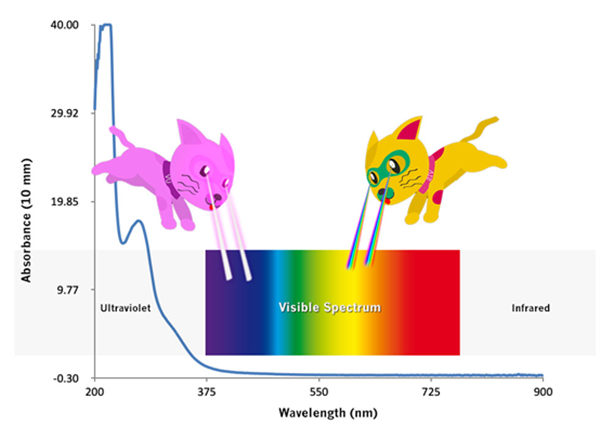 1677488418303700.jpg 640 (3).jpg